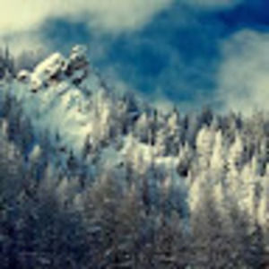 Meet your Posher, Dan